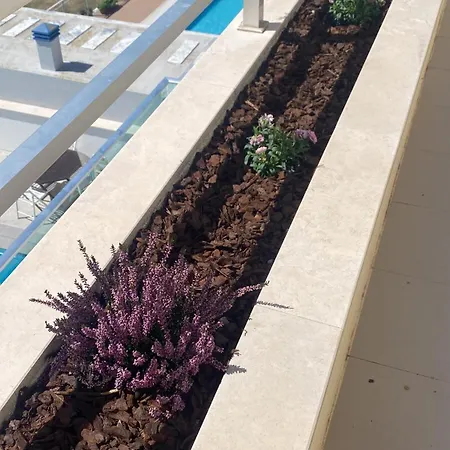 فندق مبيت وإفطار Wellnesshouse